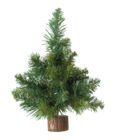 Sapin de table Blooming vert dans le catalogue Maxi Bazar