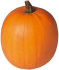 Halloween Kürbis Angebote von REWE Regional bei REWE Hennef für 3,99 €