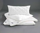 Aktuelles Ganzjahresbett Alcando Angebot bei Segmüller in Frankfurt (Main) ab 32,99 €