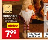 Herbstwichtel im Angebot bei Netto Marken-Discount in Königswinter Herbstwichtel Angebote bei Netto Marken-Discount Königswinter für 7,99 €