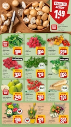 REWE Pflanzen im Prospekt 