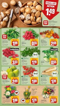 Farbe im REWE Prospekt "Dein Markt" mit 26 Seiten (Berlin)