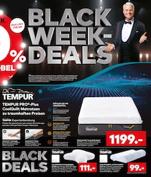 Kissen im porta Möbel Prospekt "BLACK WEEK" mit 8 Seiten (Frankfurt (Main))