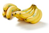 Aktuelles Bio-Fairtrade-Bananen, lose Angebot bei Lidl in Heidelberg ab 1,59 €