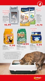 Katzenstreu Angebot im aktuellen Zookauf Prospekt auf Seite 11