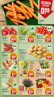 Blumen im REWE Prospekt "Dein Markt" mit 33 Seiten (Oberhausen)