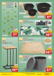 Ähnliche Kunstrasen Angebote im Prospekt "Aktuelle Angebote" von Netto Marken-Discount in Lingen Ähnliche Angebote wie Kunstrasen im Prospekt "Aktuelle Angebote" auf Seite 33 von Netto Marken-Discount in Lingen