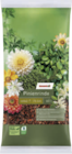 Pinienrinde bei toom Baumarkt im Ludwigslust Prospekt für 9,99 €