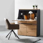 Sekretär „DETROIT“ im Angebot bei Zurbrüggen in Oldenburg Sekretär „DETROIT“ Angebote von voleo bei Zurbrüggen Oldenburg für 349,00 €