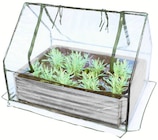 Aktuelles Hochbeet mit Gewächshaus Angebot bei Wreesmann in Dresden ab 39,99 €