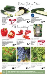 Weintrauben Angebot im aktuellen Dehner Garten-Center Prospekt auf Seite 6