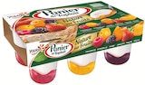 Panier de Yoplait nature sur lit de fruits panachés - Yoplait en promo chez Netto Chambéry à 4,32 €