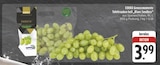 E center - Genussmomente Tafeltrauben hell 'Blanc Seedless' Angebot im Prospekt Genussmomente Tafeltrauben hell 'Blanc Seedless' bei E center im Prospekt "" für 3,99 €