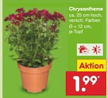 Angebot im Netto Marken-Discount Abensberg Prospekt Netto Marken-Discount Abensberg Prospekt mit im Angebot für 1,99 €