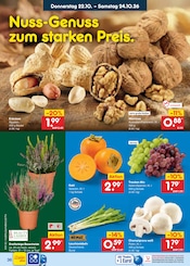 Pflanzen im Netto Marken-Discount Prospekt in Delmenhorst Aktueller Netto Marken-Discount Prospekt mit Pflanzen, "Aktuelle Angebote", Seite 48