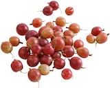 Stachelbeeren im aktuellen Kaufland Prospekt
