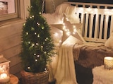 Guirlande Lumineuse 50 LED - HOME CREATION - Aldi Guirlande Lumineuse 50 LED - HOME CREATION à 2,99 € dans le catalogue Aldi