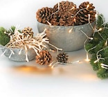 Aktuelle Led lichterkette Angebote bei Ostermann in Duisburg Aktuelles LED-Outdoor-Lichterkette Angebot bei Ostermann in Duisburg ab 1,45 €