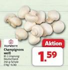 Champignons weiß Angebote von HofWerte bei Markant Nordwest Osnabrück für 1,59 €