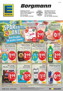 EDEKA Prospekt "Aktuelle Angebote" mit  Seiten (Münster)