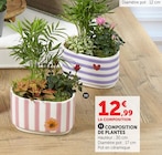 Composition de plantes en promo chez Super U Quimper à 12,99 €