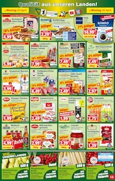 Kaffeepads Angebot im aktuellen Norma Prospekt auf Seite 13