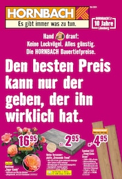 Hornbach Prospekt für Altenmedingen: "Den besten Preis kann nur der geben, der ihn wirklich hat.", 34 Seiten, 08.05.2024 - 05.06.2024