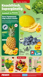 Aktueller Penny-Markt Prospekt mit Ananas, "Wer günstig will, muss Penny.", Seite 2