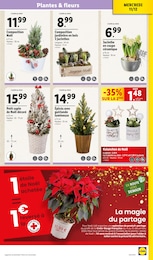 Offre Décoration Noël dans le catalogue Lidl du moment à la page 33