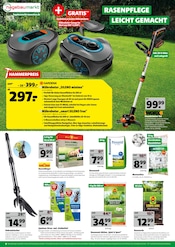 Aktueller Hagebaumarkt Prospekt mit Saatgut, "DEIN START IN DIE GARTENSAISON", Seite 6