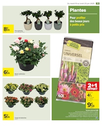 Offre Terreau universel dans le catalogue Carrefour du moment à la page 73