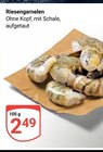 Aktuelle Garnelen Angebote bei GLOBUS in Krefeld Aktuelles Riesengarnelen Angebot bei GLOBUS in Krefeld ab 2,49 €