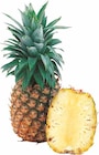 Ananas "Extra Sweet" im Angebot bei EDEKA in Hamm Ananas "Extra Sweet" Angebote von Costa Rica bei EDEKA Hamm für 2,99 €