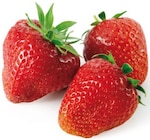 Fraises dans le catalogue Lidl