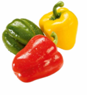 Paprika-Mix im Angebot bei Netto Marken-Discount in Memmingen Paprika-Mix Angebote bei Netto Marken-Discount Memmingen für 1,49 €