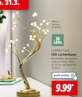 LED-Lichterbaum Angebote von LIVARNO home bei Lidl Königs Wusterhausen für 9,99 €