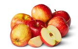 Aktuelles rote Äpfel Angebot bei Penny in Duisburg ab 1,00 €
