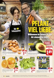 Aktueller EDEKA Prospekt mit Kartoffeln, "Aktuelle Angebote", Seite 4