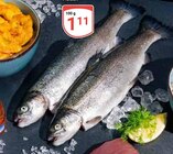 Aktuelles Frische Forelle Angebot bei GLOBUS in Jena ab 1,11 €