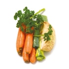 Suppengrün im aktuellen Netto mit dem Scottie Prospekt