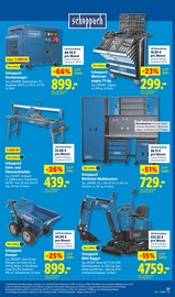 Aktueller Lidl Prospekt mit Steine, "LIDL LOHNT SICH", Seite 41