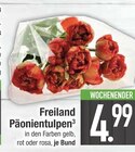 Aktuelles Freiland Päonientulpen Angebot bei EDEKA in Ingolstadt ab 4,99 €