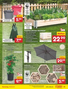 Gartendeko im Netto Marken-Discount Prospekt "Aktuelle Angebote" mit 56 Seiten (Ulm)