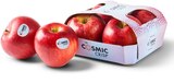 Aktuelle Äpfel Angebote bei Penny in Duisburg Aktuelles Rote Äpfel Angebot bei Penny in Duisburg ab 2,22 €