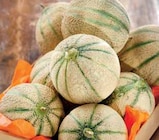 Intermarché Pithiviers - Promo Melon charentais jaune Promo Melon charentais jaune à 3,98 € dans le catalogue Intermarché à Pithiviers