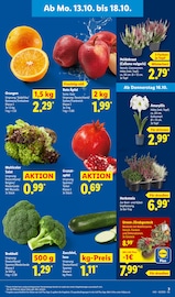 Blumen im Lidl Prospekt in Lutherstadt Wittenberg Aktueller Lidl Prospekt mit Blumen, "LIDL LOHNT SICH", Seite 3