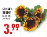 Marktkauf Oelde Prospekt mit  im Angebot für 3,99 €
