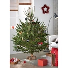 Sapin Nordmann en promo chez Carrefour Market Boulogne-sur-Mer à 16,90 €