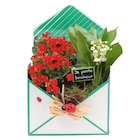 Composition en promo chez Carrefour Metz à 15,99 €