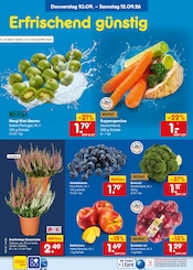 Cola im Netto Marken-Discount Prospekt in Kaarst Aktueller Netto Marken-Discount Prospekt mit Cola, "Aktuelle Angebote", Seite 3